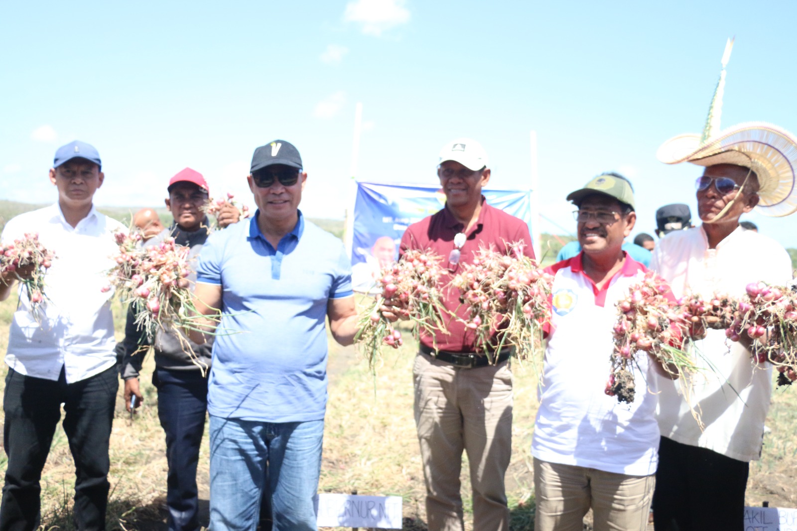 Gubernur NTT Panen Bawang Merah di Kabupaten Rote Ndao